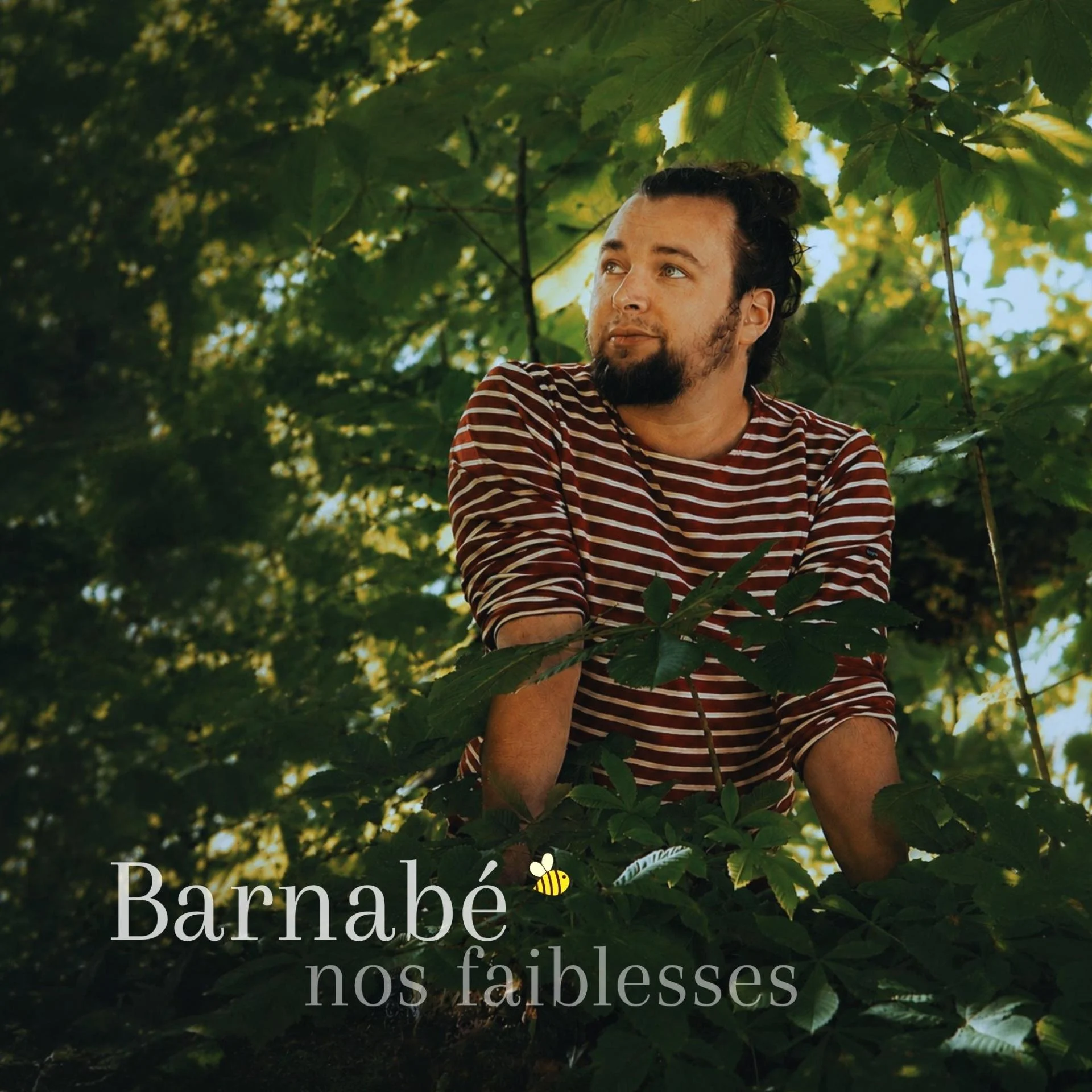 Barnabe nos faiblesses cover